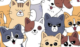 动漫 猫,猫咪的奇幻冒险之旅