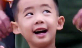 吃瓜爆料四字明星,揭秘四字明星吃瓜爆料背后的真相